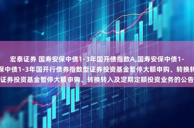 宏泰证券 国寿安保中债1-3年国开债指数A,国寿安保中债1-3年国开债指数C: 关于国寿安保中债1-3年国开行债券指数型证券投资基金暂停大额申购、转换转入及定期定额投资业务的公告