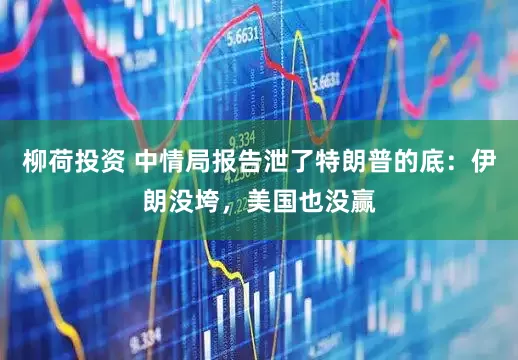 柳荷投资 中情局报告泄了特朗普的底：伊朗没垮，美国也没赢